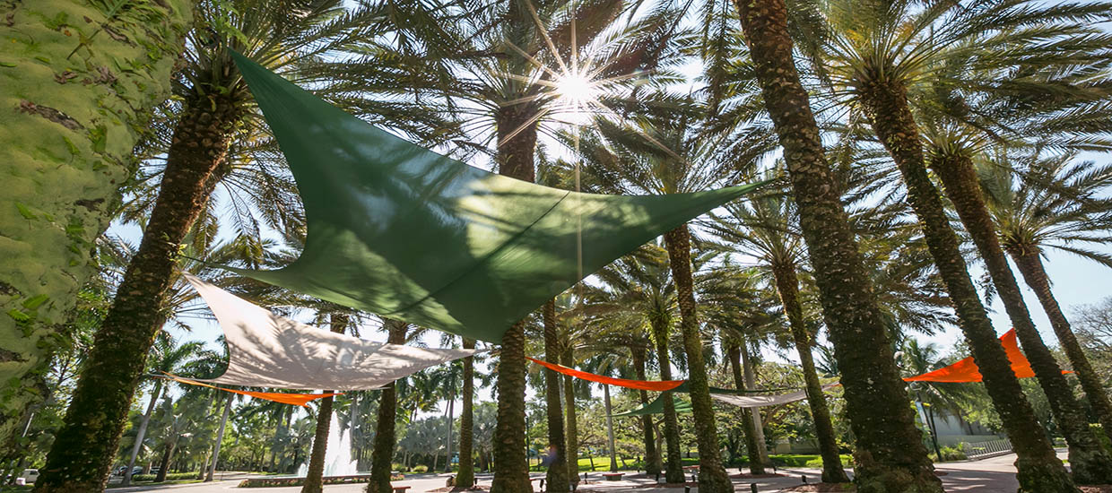 A photo of colored hammocks hanging in a courtyard on the University of Miami Coral Gables campus.
